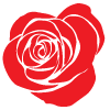 rose100x100-2
