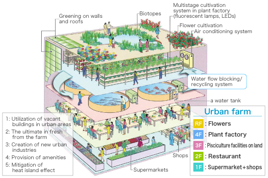 Conceptual Diagram of Next-generation Plant Factory